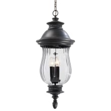 Newport 4 Light 30" Tall Outdoor Lantern with Clear Optic Glass