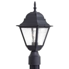 Bay Hill 1 Light 17" Tall Post Light with Clear Seeded Glass Shade