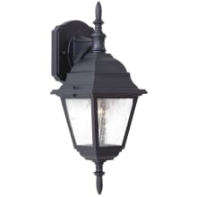 Bay Hill 1 Light 16-1/2" Tall Top Mount Outdoor Wall Sconce with Clear Seeded Glass Shade