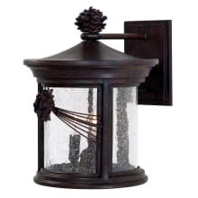 Abbey Lane 3 Light 14" Tall Outdoor Wall Sconce with Seedy Glass