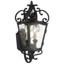Brixton Ivey 2 Light 21" Tall Outdoor Lantern with Clear Ripple Glass