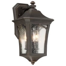 Solida 3 Light 16" Tall Outdoor Wall Sconce with Seedy Glass Shade