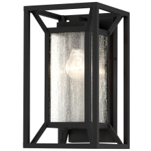 Harbor View 13" Tall Outdoor Ever-Pro Wall Sconce with Clear Seedy Glass