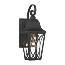 Cardigan 15" Tall Outdoor Wall Sconce with Clear Glass Shade