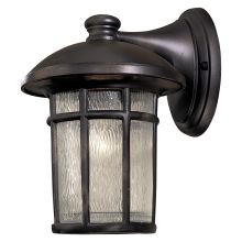 Cranston 1 Light 13" Tall Outdoor Wall Sconce with Driftwood Glass
