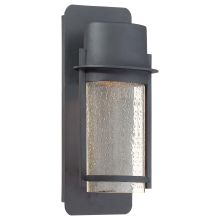 Artisan Lane 1 Light 13" Tall Dark Sky Outdoor Wall Sconce with Clear Seeded Glass