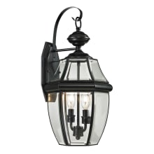2 Light 21" Tall Outdoor Wall Sconce from the Ashford Collection