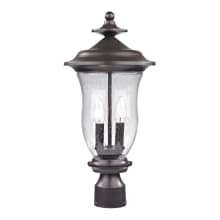 Trinity 2 Light 20" High Outdoor Single Head Post Light with Clear Seeded Glass Shade