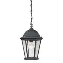 Temple Hill Single Light 10" Wide Outdoor Pendant with Clear Seeded Glass Shade