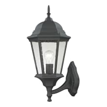 Temple Hill Single Light 21" Tall Outdoor Wall Sconce with Clear Seeded Glass Shade