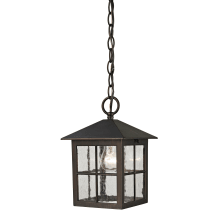 Shaker Heights Single Light 7" Wide Outdoor Mini Pendant with Clear Seeded Glass Shade