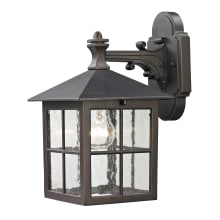 Shaker Heights Single Light 10" Tall Outdoor Wall Sconce with Clear Seeded Glass Shade