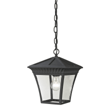Ridgewood Single Light 9" Wide Outdoor Mini Pendant with Clear Glass Shade