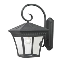 Ridgewood Single Light 18" Tall Outdoor Wall Sconce with Clear Glass Shade