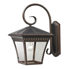 Ridgewood Single Light 18" Tall Outdoor Wall Sconce with Clear Glass Shade
