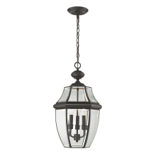 Ashford 3 Light 12" Wide Outdoor Pendant with Clear Beveled Glass Shade