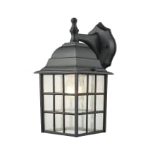 Belton Single Light 12" Tall Outdoor Wall Sconce with Seeded Glass Shade