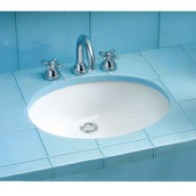 Dantesca 19" Undermount Bathroom Sink with Overflow and CeFiONtect Ceramic Glaze