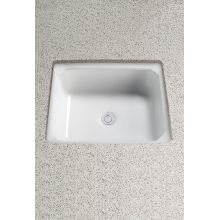Guinevere 18-5/8" Undermount Bathroom Sink with Overflow