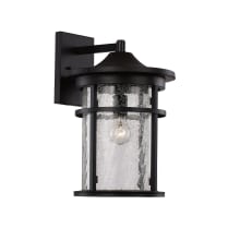 Avalon Single Light 14-1/2" Tall Outdoor Wall Sconce with Crackle Glass Shade