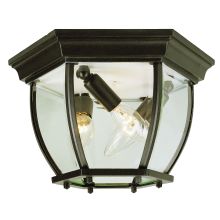 Three Light Down Lighting Outdoor Flush Mount Ceiling Fixture from the Angelus Collection