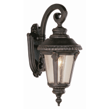 Single Light Small Outdoor Wall Lantern with Seeded Glass
