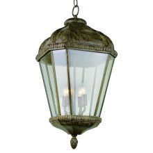 Four Light Up Lighting Full Sized Outdoor Pendant from the Outdoor Collection