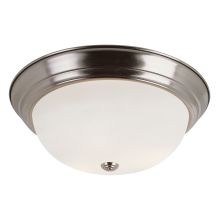 2 Light 11" Flush Mount Round Ceiling Fixture with Frosted Shade