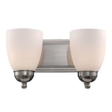 Clayton 2 Light 14" Wide Bathroom Vanity Light with Marbleized Glass Shades