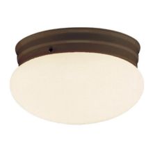 Dellwood 2 Light Flush Mount Ceiling Fixture