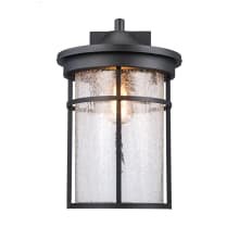 Avalon Single Light 17-3/4" Tall Outdoor Wall Sconce with Crackle Glass Shade