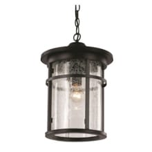 Avalon Single Light 11" Wide Outdoor Pendant with Crackle Glass Shade