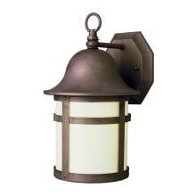 Thomas 13" Tall Outdoor Wall Sconce