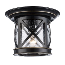Chandler Single Light 10" Wide Outdoor Flush Mount Lantern Ceiling Fixture with Seedy Glass Shade
