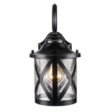 1 Light 12.75" Outdoor Wall Sconce with Clear Seeded Glass