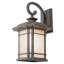 San Miguel Single Light 12-3/4" Tall Outdoor Wall Sconce with Tea Stained Linen Glass Shade