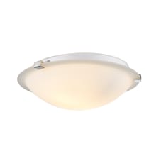 Neptune 2 Light 12" Wide Flush Mount Bowl Ceiling Fixture with Frosted Glass Shade