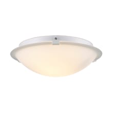 Neptune 2 Light 12" Wide Flush Mount Bowl Ceiling Fixture with Frosted Glass Shade