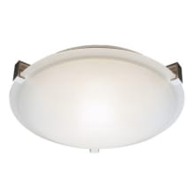 Neptune 4 Light 20" Wide Flush Mount Bowl Ceiling Fixture with Frosted Glass Shade