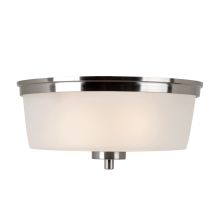 2 Light Flush Mount Ceiling Fixture with Frosted Shade