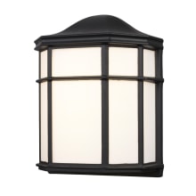 Andrews 10" Tall LED Outdoor Wall Sconce