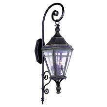 Morgan Hill 4 Light Outdoor Wall Sconce with Seedy Glass