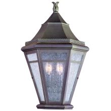 Morgan Hill 2 Light 20" Outdoor Wall Sconce with Seedy Glass