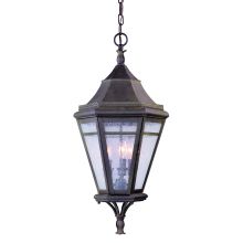 Morgan Hill 3 Light Outdoor Lantern Pendant with Seedy Glass