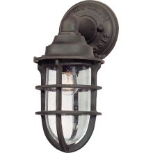 Wilmington 1 Light 12" Outdoor Wall Sconce with Seedy Glass