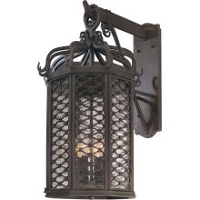 Los Olivos 4 Light Energy Star Rated Outdoor Wall Sconce with Seedy Glass
