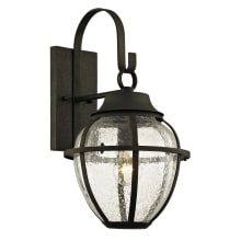 Bunker Hill Single Light 18-1/4" Tall Outdoor Wall Sconce with Seedy Glass Onion Shade