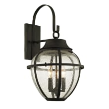 Bunker Hill 3 Light 23-3/4" Tall Outdoor Wall Sconce with Seedy Glass Onion Shade