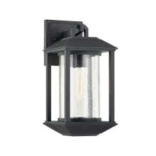 Mccarthy 14" Tall Outdoor Wall Sconce