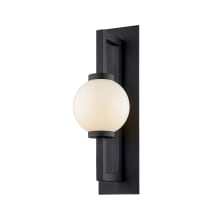 Darwin 19" Tall Outdoor Wall Sconce